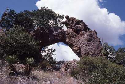 Whitetail Arch Arizona